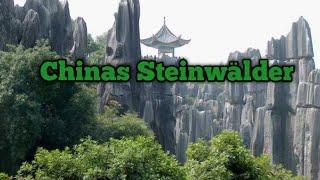 China Suspekt - kuriose "Steinwälder" 