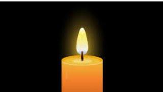 RIP Untergang der Kabale “Janet Ossebaard, Beacon of the Global Awakening, Tragically Dies by Suicid
