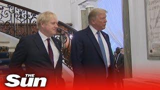 "Boris & Donald wurden als Zwillinge getrennt. Endlich wieder vereint!"