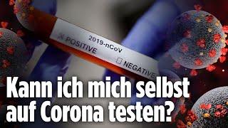 Virologe klärt über Corona-Selbsttests auf
