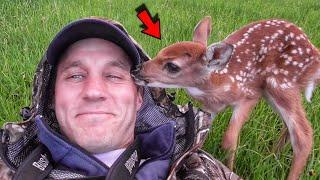 Man found a tiny fawn abandoned by its mother and saved its life