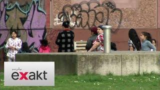 Problemviertel in Magdeburg: Neues Gesetz soll helfen | Exakt | MDR