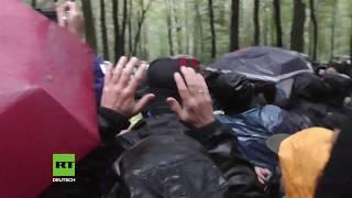 Hambacher Forst: Tausende Protestierende stellen sich gegen Rodung und Polizei