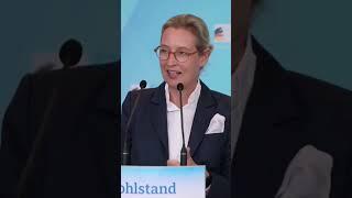 EU - Skandal - von der Leyen - Medienversagen - Alice Weidel