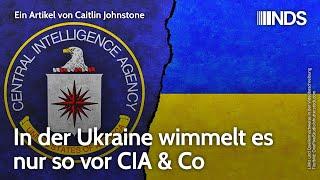 In der Ukraine wimmelt es nur so vor CIA & Co | Caitlin Johnstone | NDS-Podcast