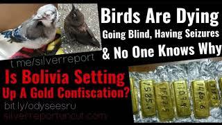 Birds Mysteriously Dropping Dead In Several States, Bolivia Gold Confiscation? Inflation indicators