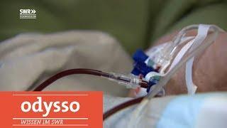 Gefährliche Bluttransfusionen| SWR odysso