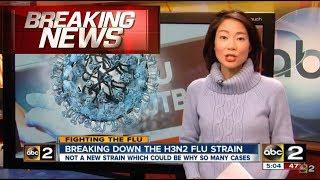 Deadly Flu Kills Hundreds in Australia, ALERT: UK and US Outbreak (H3N2) 2018