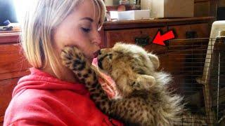 The girl saved the little cheetah from death, and he became her best friend