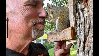 Eichhörnchen gerettet - The heartwarming story of a truly enchanting grey squirrel