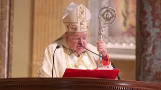 Cardinal Burke: Forces of the 'Great Reset' have used COVID to advance 'evil agenda'