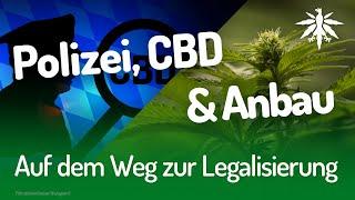 Auf dem Weg zur Legalisierung | DHV-News #203