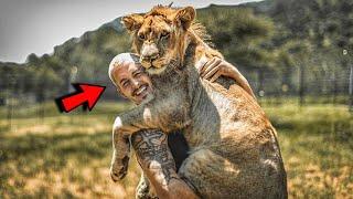 This Man Cuddle With Huge Lions To Whom He Dedicated His Entire Life