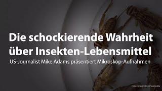  "Die schockierende Wahrheit über Insekten-Lebensmittel-" - 04.02.2023