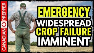 Prepare For Food Riots: Widespread Crop Failure