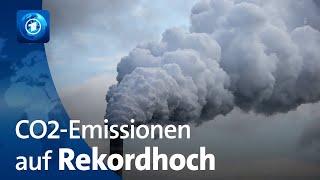 Widerliche ARD-Propaganda-Lügen - Weltweiter CO2-Ausstoß erreicht Höchstwert
