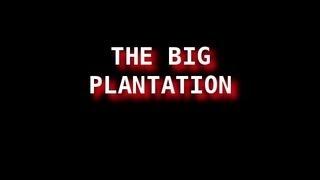 The Big Plantation - Full - The UNITED STATES is a Corporation 1933 Bankruptcy