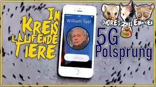 5G Polsprung William Toel ::: Im Kreis laufende Tiere läuten das Ende der Menschheit ein