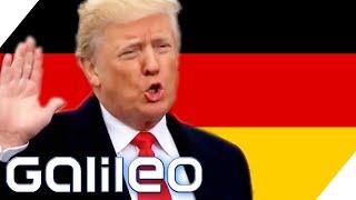 Format Sesamstrasse: Trump als Bundeskanzler?! Wie wäre das? - Galileo