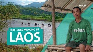 Der Mekong: Tradition, Tourismus und das Leben in Laos | ARD Reisen