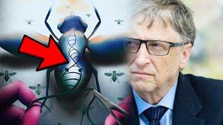 Will Bill Gates mit Genveränderten Mücken die Weltherrschaft erlangen?