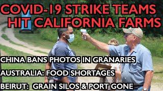 COVID-19 Strike Teams Shut Down Farms - FoodWars Go Hot - Beirut, Aus, China Shortages
