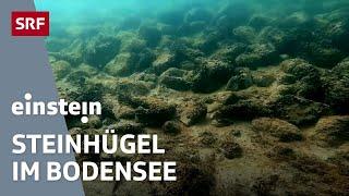 Mysteriöse Steinhügel im Bodensee – Erforschung archäologischen Strukturen | Einstein | SRF Wissen