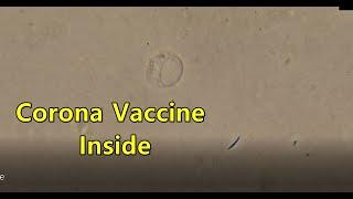 Corona Vaccine Inside