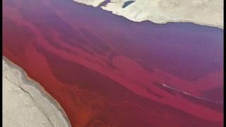 State of Emergency In Russia! River Turns Blood Red After Huge Spill In Arctic Circle