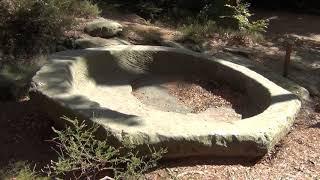Blood Ritual Satanic Human Sacrifice Octogon Bowl in Huge French Forest by Pharaoh's Nobility