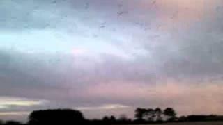Weather-Weapons / Clima-Engineering / Millions of Black Birds Over Beebe Arkansas Falling from sky ?