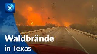 Mehrere Waldbrände in Texas außer Kontrolle
