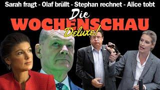 17 | Alice Weidel erhält Tadel | Sarah Wagenknecht tobt im Bundestag | Olaf Scholz wird angebrüllt |