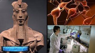 New Discovery! Egyptian Pharaoh DNA Not Of This World? 2019-2020