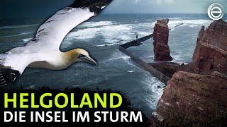 Helgoland ‒ Die Insel im Sturm | Erlebnis Erde