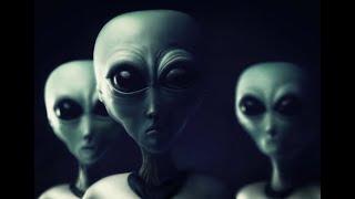 Alien Pilots Found/Biological & Metaphysical. Full Report.