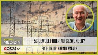 5G Netz: gewollt oder aufgezwungen? | Prof. Dr. Dr. Harald Walach | QS24 Gesundheitsfernsehen