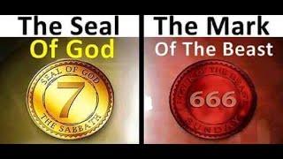 The The Real Seal vs The Mark