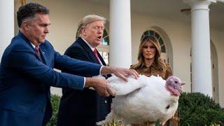 President Trump hosts the annual Thanksgiving Turkey presentation