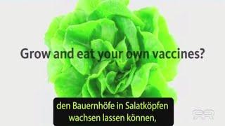 mRNA-Impfung in Salatköpfen? Frankenstein-Lebensmittel von Bill Gates und dem Weltwirtschaftsforum!