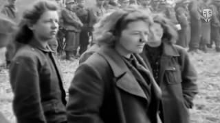 Rheinwiesenlager  Der vergessene Völkermord der Alliierten an den Deutschen