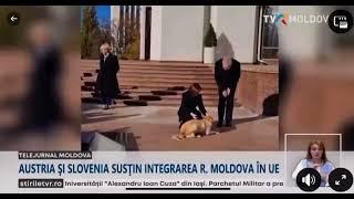 Bundespräsident Van der Bellen bei Staatsbesuch in Moldawien von Hund gebissen, 15.11.2023
