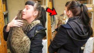Huge Cat Hugged A Woman In a Shelter And Didn't Let Go! It Must Be Seen