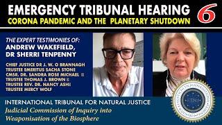 Corona Emergency Hearing 6: Andrew Wakefield & Dr. Sherri Tenpenny