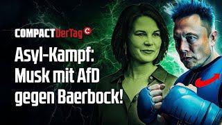 Asyl-Kampf: Musk + AfD gegen Baerbock!