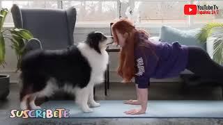 Amazing Dog: Viral Video: This Adorable Dog Doing Yoga With its Owner Will Make Your Day.