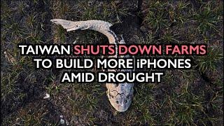 Taiwan Shuts Down Farms to Build More iPhones - Destruction of Food Supply