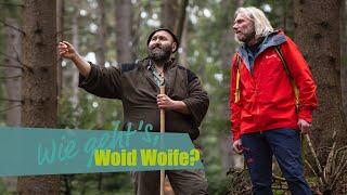 Lebenssinn gefunden - "Woid Woife": Interview mit dem "Wildtier-Flüsterer" im Bayerischen Wald |