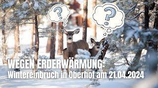 Wegen Erderwärmung: Wintereinbruch in Oberhof am 21.04.2024