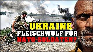 Wird die Ukraine zum Friedhof oder Fleischwolf für NATO-Soldaten?